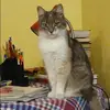 Отзыв от Яна Минина